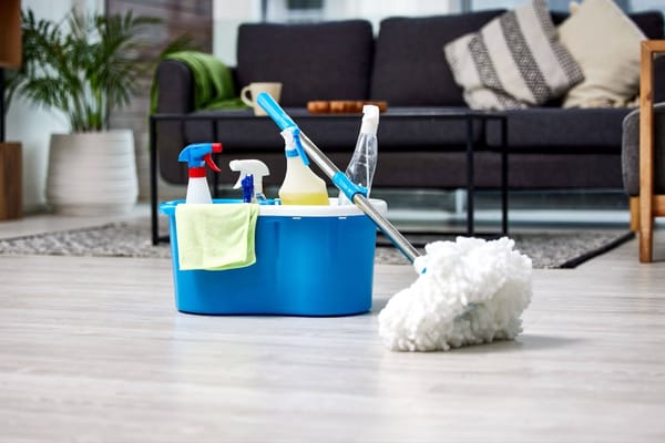 A spotless and organized living room showcasing the results of professional weekly home cleaning services.