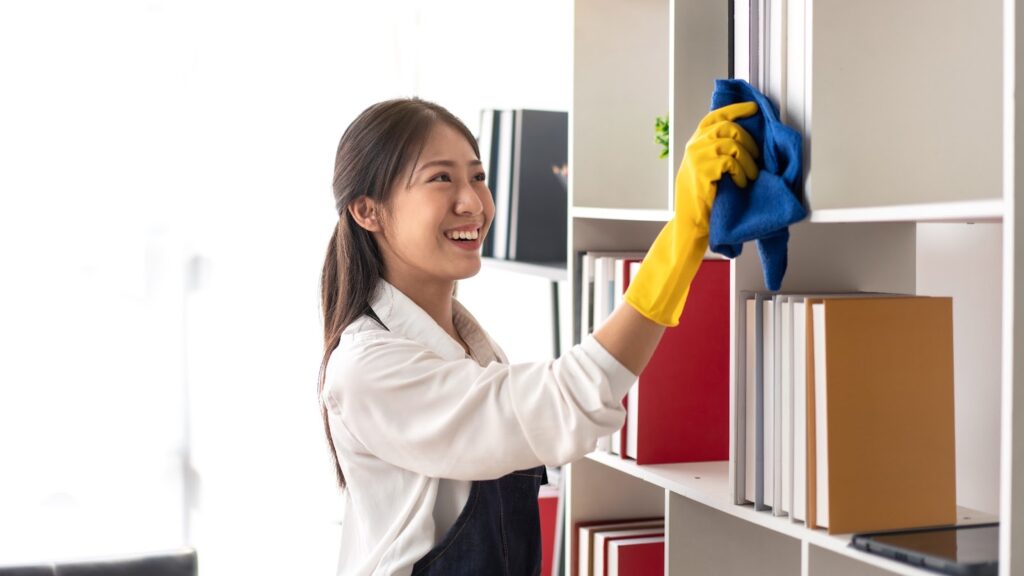 cleaner cleaning cabinet 